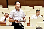 Miễn thuế nhưng cần điều tiết hành vi sử dụng đất, tránh bỏ hoang