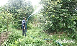 Tín dụng chính sách giúp người dân vượt khó