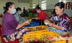 Trợ lực cho hợp tác xã nông nghiệp phát triển