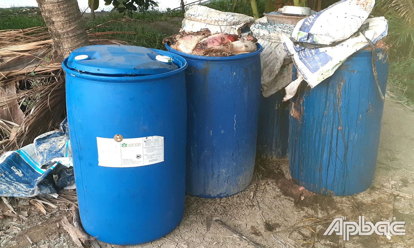 Số cá Koi bị chết.