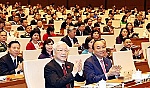 Vang xa, vươn xa, Việt Nam