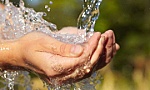 Công nghệ mới giúp loại bỏ chất độc hại trong nước