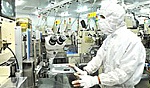 Chính phủ thành lập Tổ công tác thúc đẩy hợp tác đầu tư nước ngoài