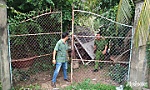 Đi trộm sắt, nam thanh niên bị điện giật tử vong