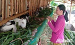 Xã Phước Trung đẩy mạnh công tác giảm nghèo