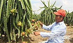 Bài 3: Chuyển đổi nhưng phải hiệu quả