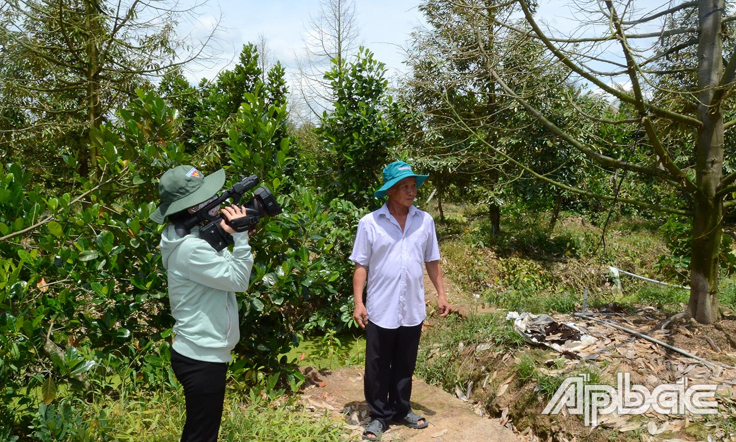Một phóng viên nữ tác nghiệp dưới cái nắng giữa vườn sầu riêng  ở huyện Cai Lậy trong  mùa hạn, mặn năm 2020. 	         Ảnh: M.T