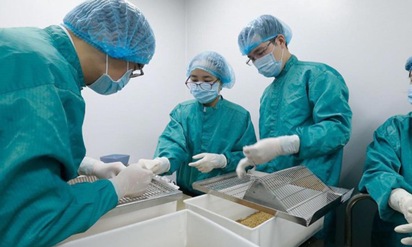  Các nhà nghiên cứu của Vabiotech đang tiến hành lấy mẫu máu chuột để đánh giá kháng thể đáp ứng miễn dịch sau tiêm