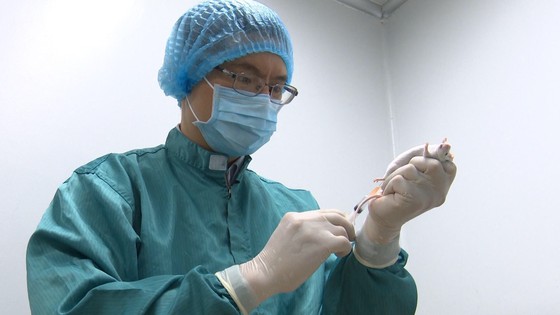  Các nhà nghiên cứu của Vabiotech đang tiến hành lấy mẫu máu chuột để đánh giá kháng thể đáp ứng miễn dịch sau tiêm