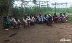 Triệt phá trường gà, bắt giữ 18 đối tượng