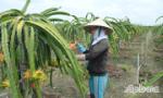 Nghĩ về bài toán của 10 năm trước