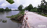 Huyện Cai Lậy: Chủ động các giải pháp phòng, chống thiên tai