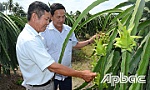 Từng bước đa dạng sản phẩm,  mở rộng thị trường