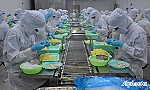 Tiếp tục hỗ trợ hội viên tháo gỡ khó khăn trong sản xuất, kinh doanh