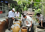 Chỉ số dụng cụ chứa nước có lăng quăng còn cao