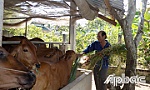 Tấm gương giàu nghị lực của một thương binh