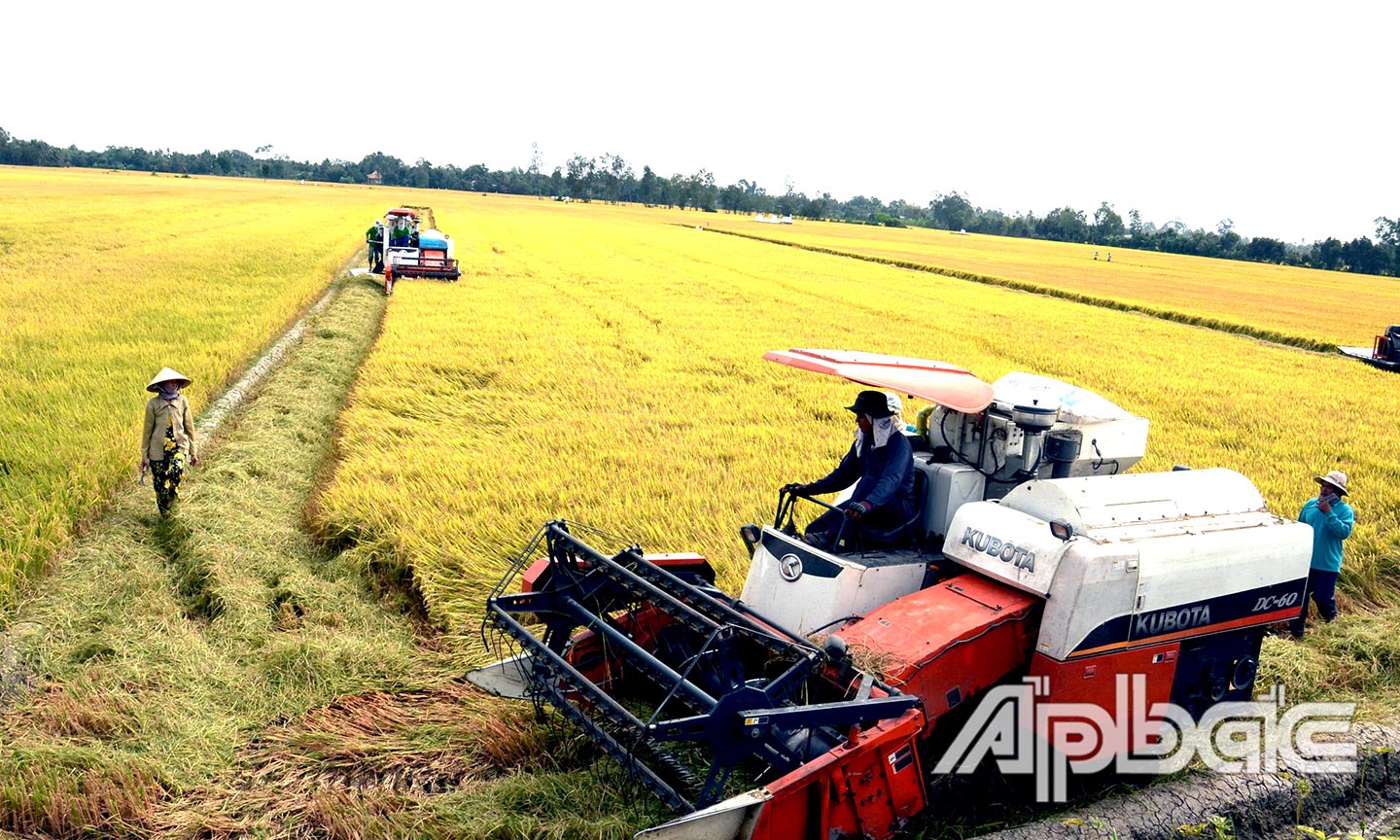 Phát triển nông nghiệp, nông thôn bền vững