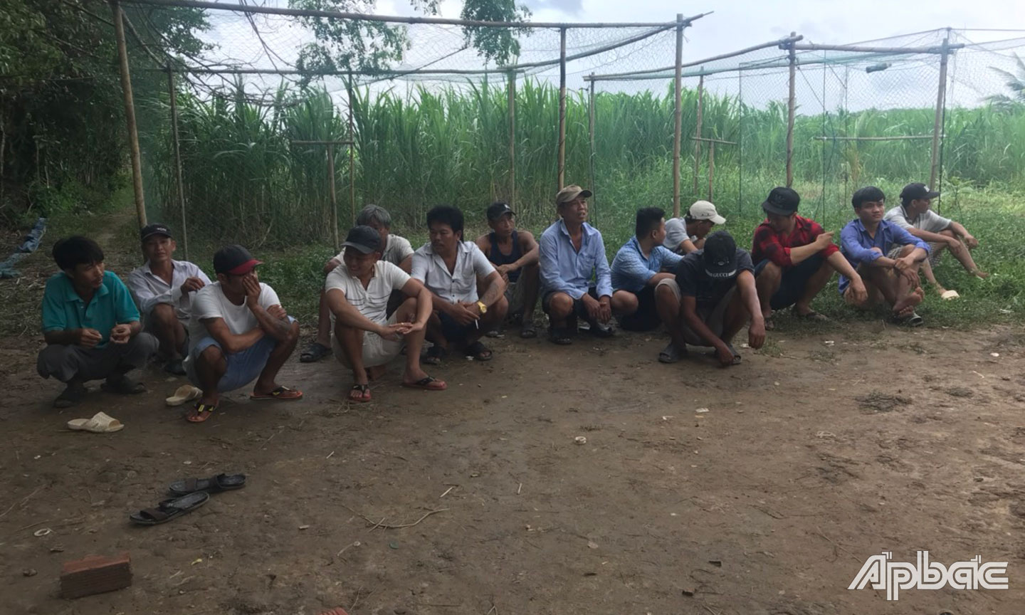 Nhóm người có mặt tại nơi tổ chức đá gà ăn thua bằng tiền.