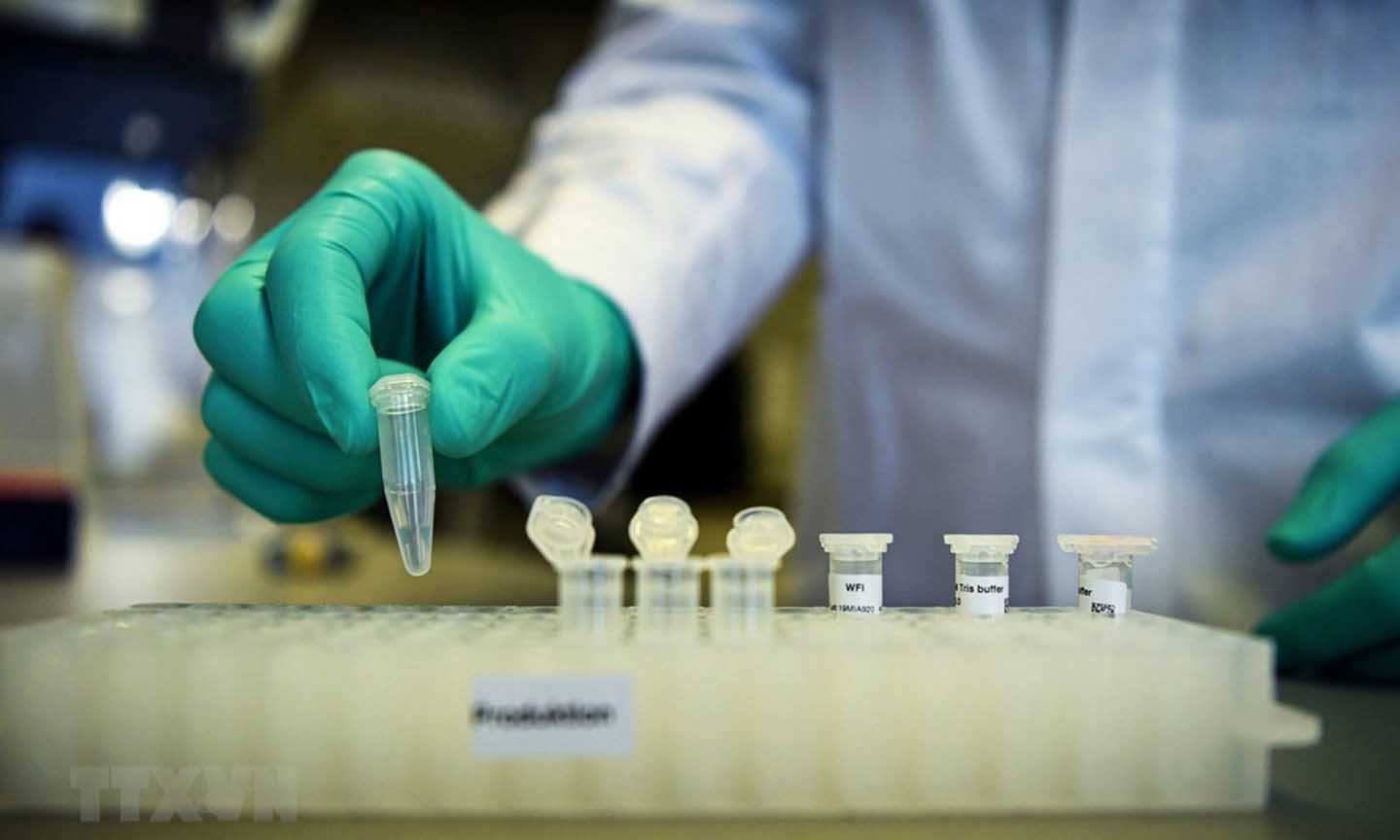 Nghiên cứu vaccine phòng dịch COVID-19 tại phòng thí nghiệm ở Tuebingen, Đức, ngày 12/3/2020. (Ảnh: Reuters/TTXVN)