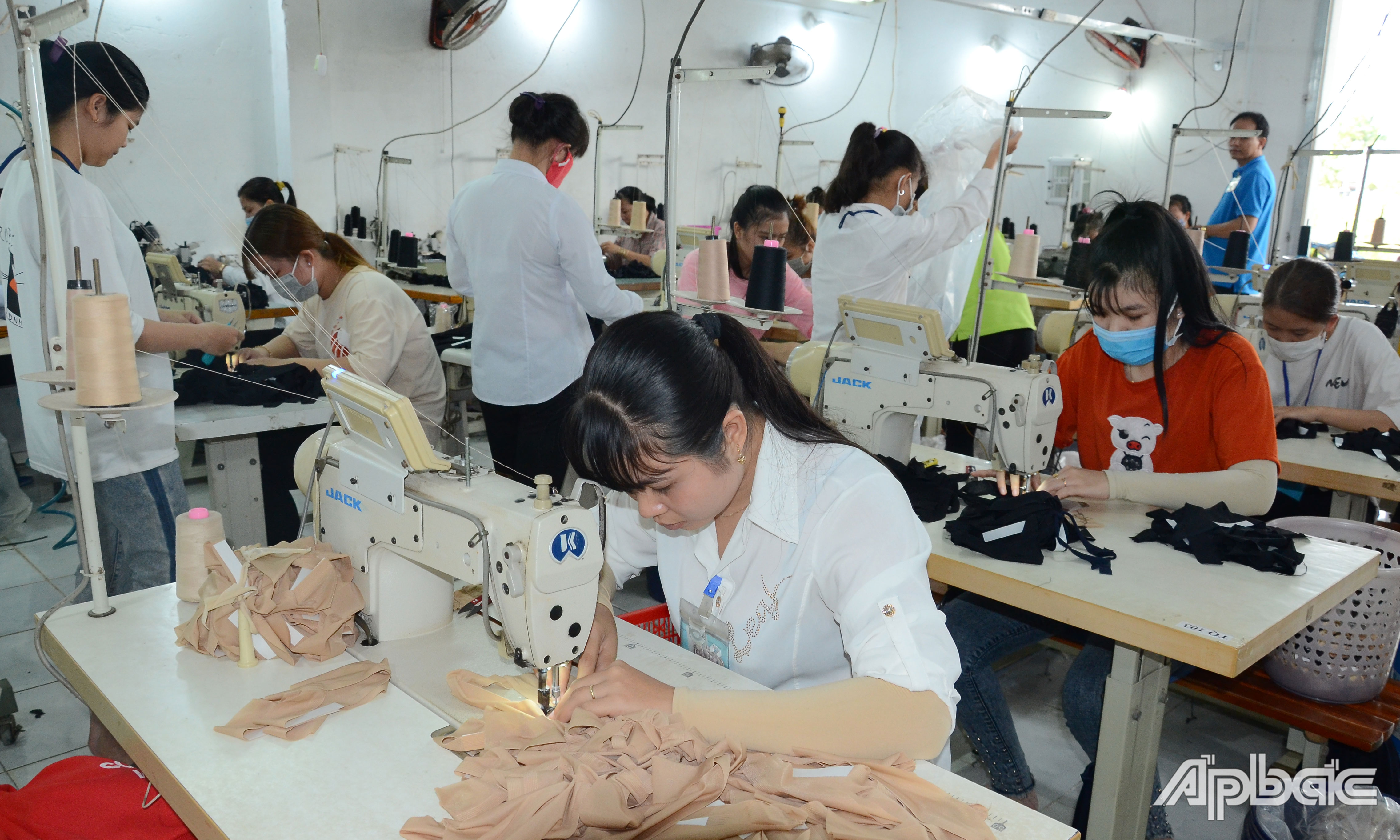 Ngành Thuế sẽ tập trung hỗ trợ doanh nghiệp và người dân bị ảnh hưởng bởi dịch bệnh Covid-19.