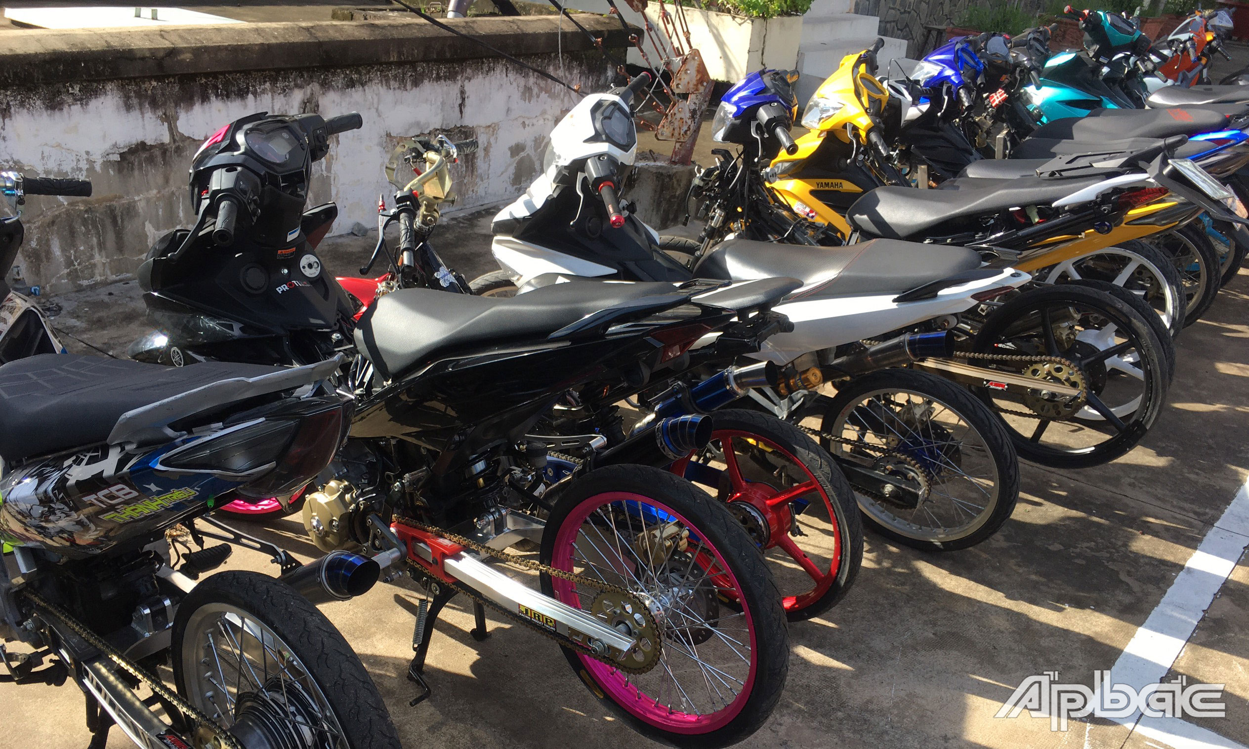 Các phương tiện bị tạm giữ.