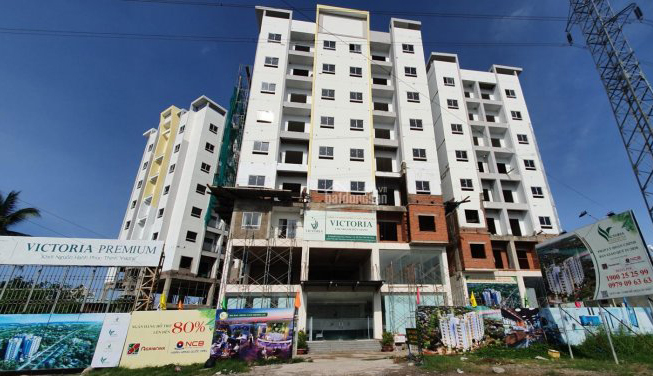 Dự án
