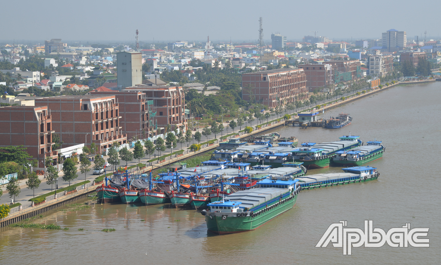 Dự án 
