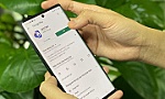 Toàn dân cài ứng dụng Bluezone để phòng, chống dịch Covid-19