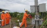 Tiền Giang: Đảm bảo an toàn điện trong xông đèn thanh long
