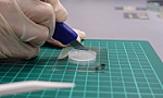 Phát triển da nhân tạo có thể cảm nhận như da thật