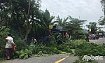 Đảm bảo thông thoáng tầm nhìn toàn tuyến đường tỉnh 865
