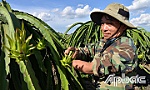 Chuyện về người thương binh 
