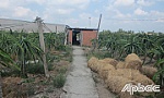 Hủy giấy chứng nhận QSDĐ của bà Trần Thị Bạch Tuyết