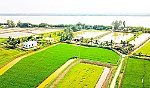 Nông nghiệp ĐBSCL tăng trưởng nhưng vẫn lo