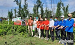 Phát động trồng và chăm sóc cây xanh
