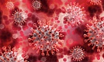 Nhật Bản phát hiện khí ozone có thể vô hiệu hóa virus SARS-CoV-2