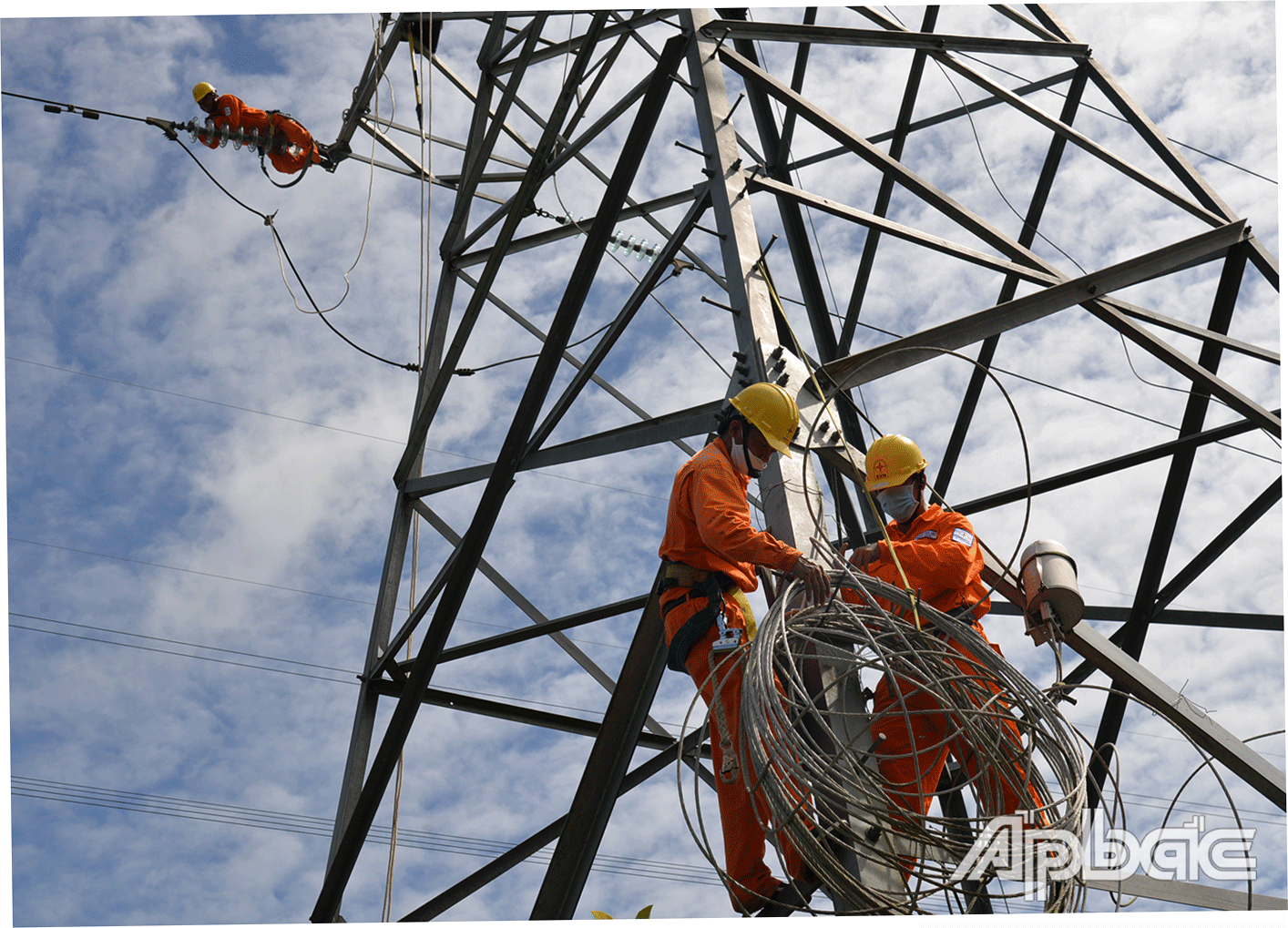 Tiến hành hạ cáp quang tại trụ điện 145 khu vực Cái Bè.