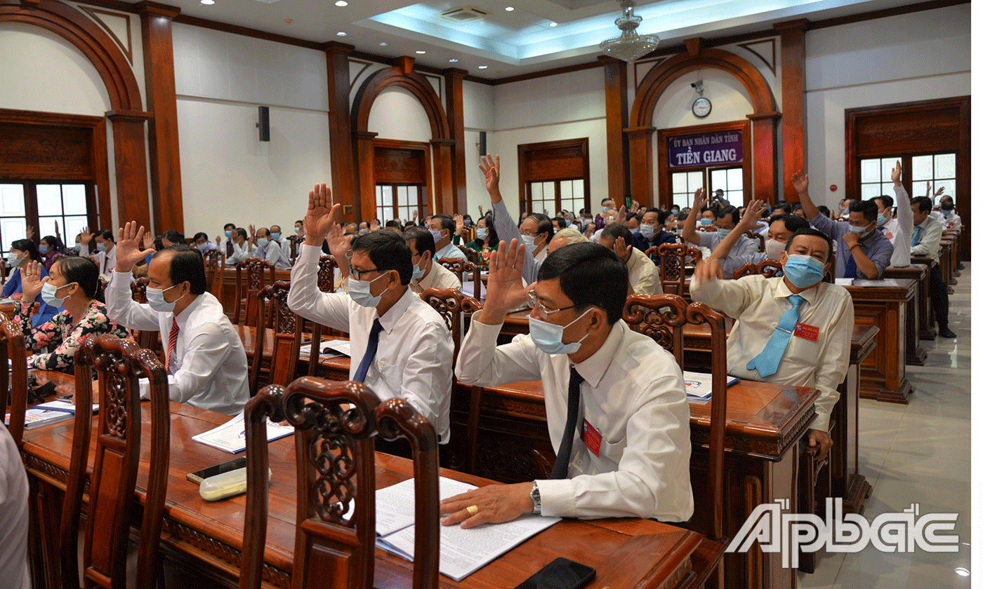 Đại biểu biểu quyết thông qua chương trình đại hội.