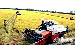 Cuộc đổi đời của giai cấp nông dân