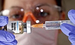 WHO: Không kỳ vọng vắcxin chống COVID-19 sẽ phổ biến vào giữa 2021