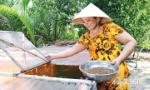 Khởi nghiệp với mô hình nuôi ếch