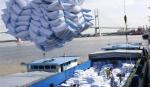 Đã có thể thực hiện chứng nhận chủng loại gạo thơm xuất khẩu sang EU