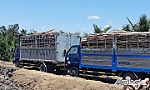 Điều tra nhóm đối tượng cản trở thi công, đánh người trên tuyến cao tốc Trung Lương - Mỹ Thuận