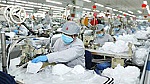 ADB dự báo kinh tế Việt Nam tăng trưởng 1,8% ​