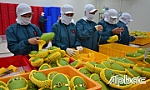 Niềm tin mới cho trái cây
