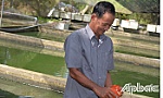 Lão nông thu nhập hàng tỷ đồng từ mô hình 