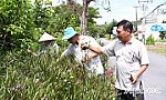 Bí thư chi bộ cần mẫn, trách nhiệm