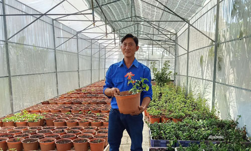 Anh Trần Thanh Quý bên vườn cây nhân sâm của mình.