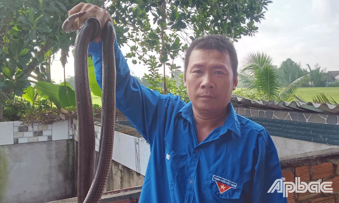 Anh Nguyễn Như Khương đang cằm trên tay con rắn do chính tay mình nuôi