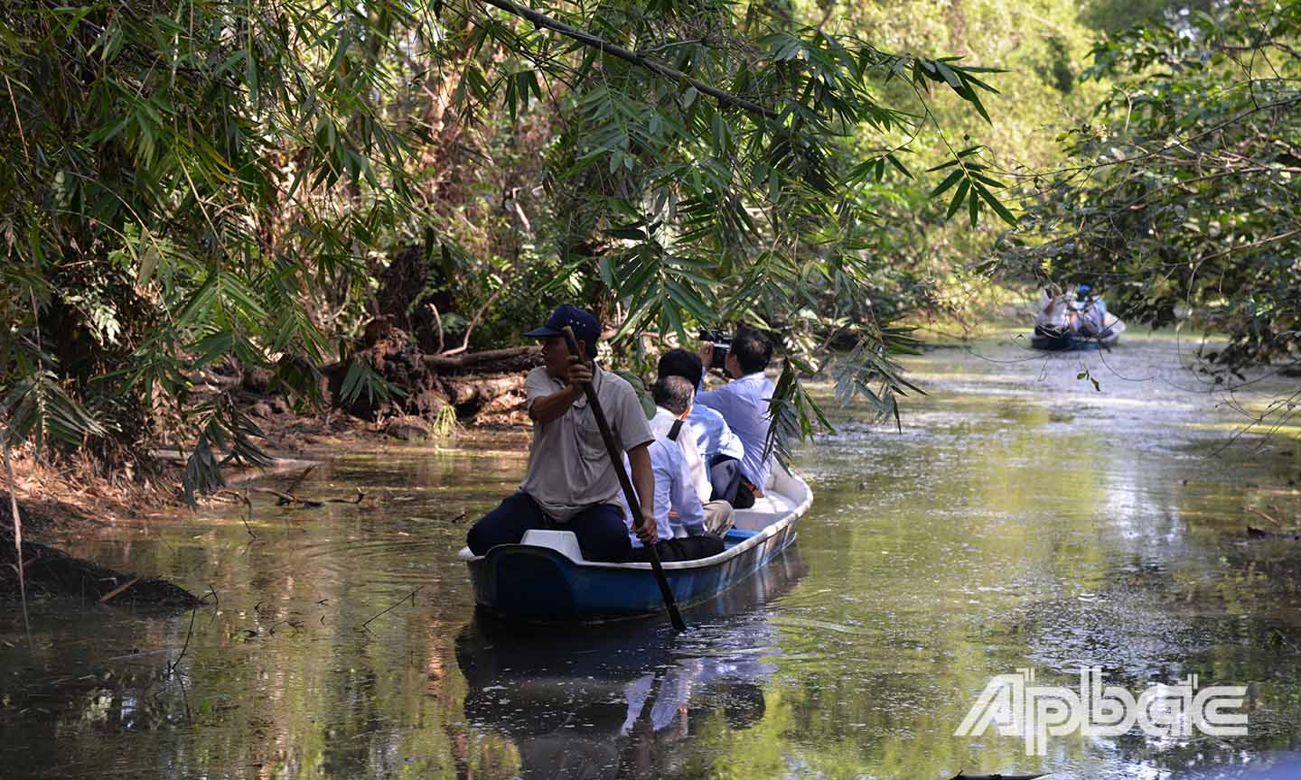 Đoàn tham quan và khảo. sát Khu Bảo tồn sinh thái Đồng Tháp Mười trên xuồng chèo